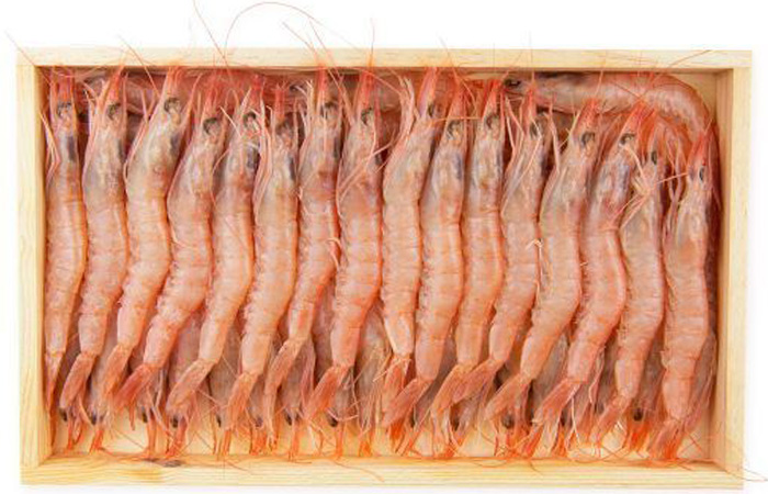 White prawns from the Mediterranean Sea
